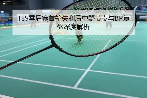 TES季后赛首轮失利后中野节奏与BP复盘深度解析